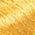 Color Swatch - Gold
