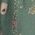 Color Swatch - Green