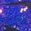 Color Swatch - Purple