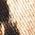 Color Swatch - Animal
