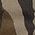 Color Swatch - Bottomland