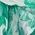 Color Swatch - Green