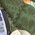 Color Swatch - Green