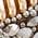 Color Swatch - Gold/Crystal