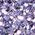 Color Swatch - Lilac