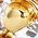 Color Swatch - Gold