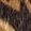 Color Swatch - Beige/Brown