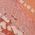 Color Swatch - Peach Blossom