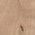 Color Swatch - Ivory