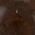 Color Swatch - Brown