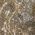 Color Swatch - Champagne