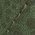 Color Swatch - Green