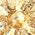 Color Swatch - Gold/Multi