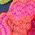 Color Swatch - Floral