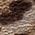 Color Swatch - Animal