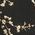 Color Swatch - Black