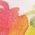 Color Swatch - Floral Multi