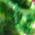 Color Swatch - Green