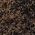 Color Swatch - Black