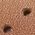 Color Swatch - Tan