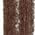 Color Swatch - Warm Dark Brown