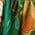 Color Swatch - Green