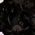 Color Swatch - Black