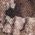Color Swatch - Realtree APX Camo