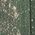 Color Swatch - Green