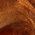 Color Swatch - Brown