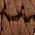 Color Swatch - Brown