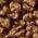 Color Swatch - Brown