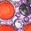 Color Swatch - Purple