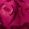 Color Swatch - Pink