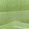 Color Swatch - Green