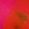 Color Swatch - Red
