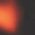 Color Swatch - Havana/Solid Smoke