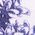 Color Swatch - Blue