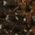 Color Swatch - Brown