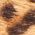 Color Swatch - Animal