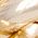 Color Swatch - Gold
