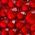 Color Swatch - Red