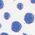 Color Swatch - Blue
