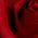 Color Swatch - Red