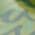 Color Swatch - Medium Green