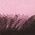 Color Swatch - Pink