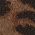 Color Swatch - Brown