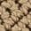 Color Swatch - Acorn