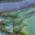 Color Swatch - Abalone Shell