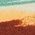 Color Swatch - Multi/Misc